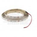 N LED B 5m 60L/m 3528 12V 4,8W/mRED IP20 