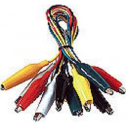 KIT COCCODRILLI 5 PEZZI 