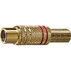 PRESA RCA POLARIZZATA 