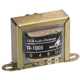 TRASFORMATORE AUDIO 100 V 