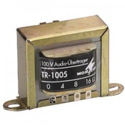 TRASFORMATORE AUDIO 100 V 