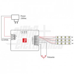 DIMMER LED MONO 12/24V 3A/CH P 