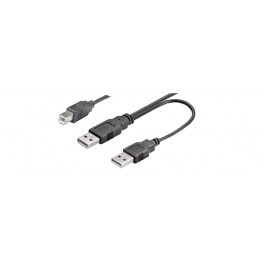 CAVO USB2 0 DUAL POW A M X2    