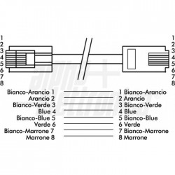 CAVO RETE CAT6 UTP 0,5m GRIGIO 