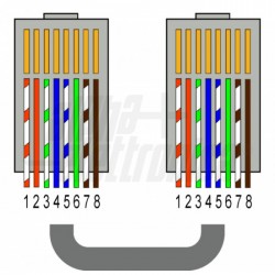 Spina RJ45 8P8C Cat 5 passante   UTP Spina RJ45 8P8C Cat 5 passante   UTP