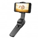STICK HOHEM D1   gimbal 2 assi pieghevoe D1Uno stabilizzatore su due assi con alcune innovative funzioni foto/video  E  il primo