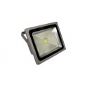 FARO LED 30W DA ESTERNO L  NAT 