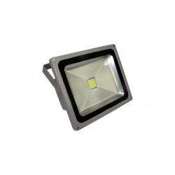 FARO LED 30W DA ESTERNO L  NAT 