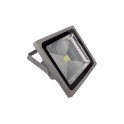 FARO LED 50W DA ESTERNO L  NAT 
