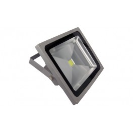 FARO LED 50W DA ESTERNO L  NAT 