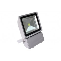 FARO LED 100W DA ESTERNO L  NA 