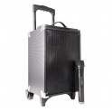 CASSA AMPLIFICATA MICROF WIREL 130W MP3 TROLLEY