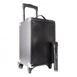 CASSA AMPLIFICATA MICROF WIREL 130W MP3 TROLLEY