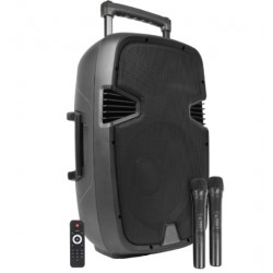 BOX AUDIO ATTIVO 12” 500W A BATTERIA CON BLUETOOTH/USB/SD, MP3, ECHO,EQUALIZZATORE E TROLLEY