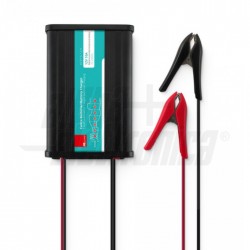 CAR BATT PB 24Vdc 5Ah PINZE 