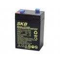 BATTERIA AL PIOMBO 6V/4,5A SKB 	70 x 48 x 101   107 mm