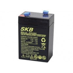 BATTERIA AL PIOMBO 6V/4,5A SKB 	70 x 48 x 101   107 mm