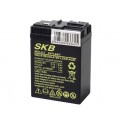 BATTERIA AL PIOMBO 6V/4,5A SKB X LAMP EMERG          70 x 47 x 98   98 mm