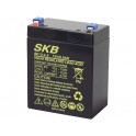 BATTERIA AL PIOMBO SKB 12V/2,9A FAST  4,8  80 x 56 x 99   104 mm