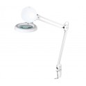 LAMPADA  CON LENTE 60 LED 5 DIOTTRIE 