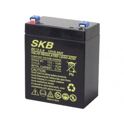 BATTERIA AL PIOMBO SKB 12V/2,9A FAST  4,8  80 x 56 x 99   104 mm