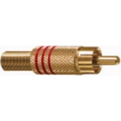 SPIAN RCA DORATA ANELLO ROSSO 