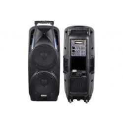 BOX AUDIO PROFESSIONALE  360W USB/SD BOX AUDIO PROFESSIONALE POTENZA MAX 360W CON USB/SD, ECHO, EQUALIZZATORE E TROLLEY