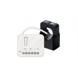 PINZA AMPEROMETRICA 2X6KW 